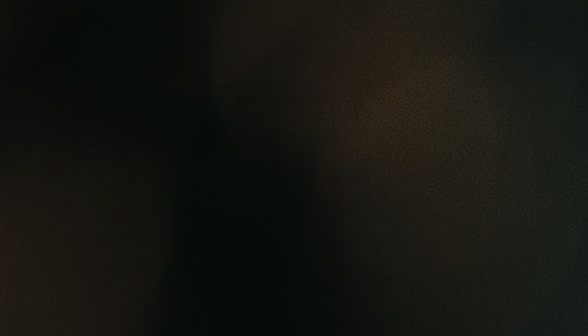 partnergeweld in het peripartum draag-kracht